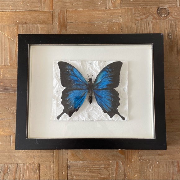 Hand Painted Framed Blue Morpho Butterfly Art Original - Picture 1 of 5